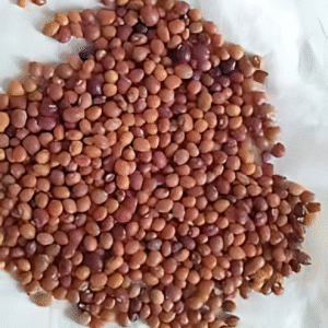 Kandulu (కందులు)
